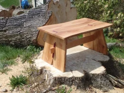 A wooden bench with butterfly joints sits on a large tree stump outdoors, surrounded by logs and grass.